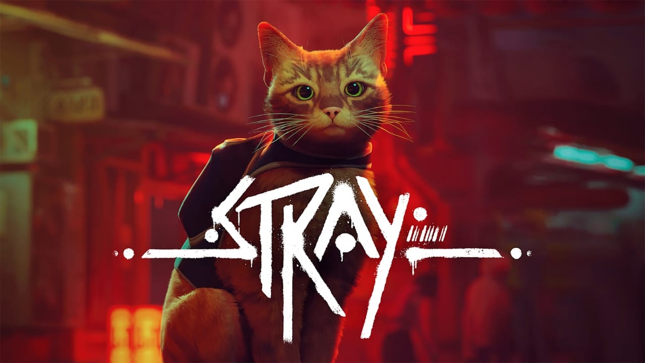 Stray - Switch Review